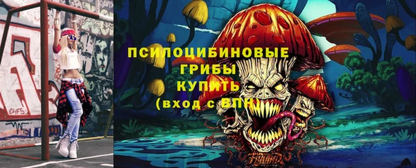 прущие крисы Новодвинск