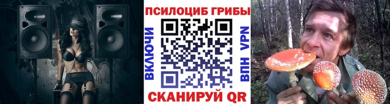 Псилоцибиновые грибы Psilocybine cubensis  Стерлитамак 