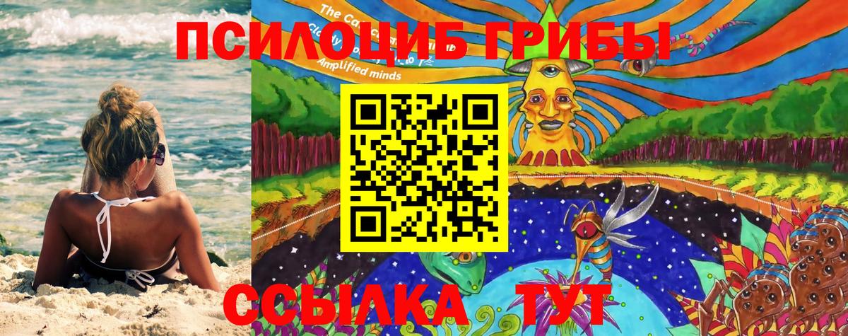 Псилоцибиновые грибы MAGIC MUSHROOMS  Вход с VPN  Стерлитамак  Псилоцибиновые грибы мухоморы 