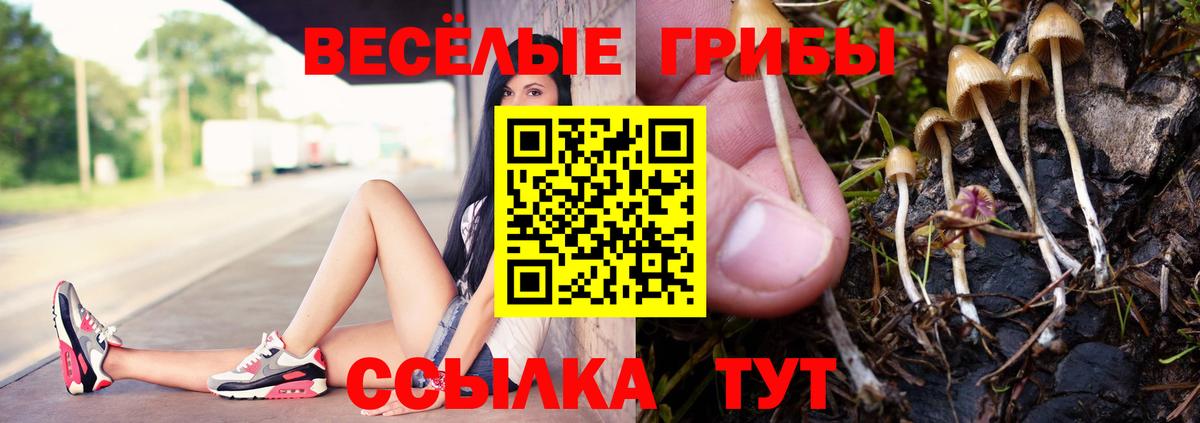 Псилоцибиновые грибы Cubensis Стерлитамак